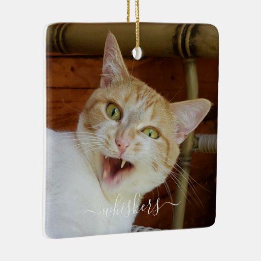 Uw foto-scriptnaam Cat Dog Pet Keepomwille Keramisch Ornament (Rechts)