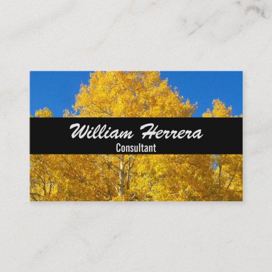 Uw foto-sjabloon elegant gebundelde indeling 100 g visitekaartje (Voorkant)