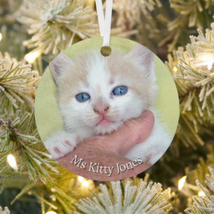 Uw foto / tekst - Traditioneel jaarlijks geschenk  Metalen Ornament