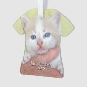 Uw foto / tekst - Traditioneel jaarlijks geschenk  Ornament (voorkant)