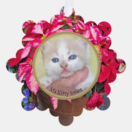 Uw foto - Traditionele jaarlijkse cadeau poinsetti Ornament Kaart (Voorkant)