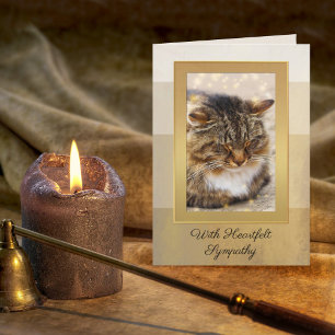 Uw foto van Elegant Gold Striped Cat Sympathcard Kaart