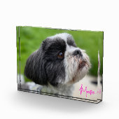 Uw foto van uw foto is automatisch gegraveerd in f (Rechts)