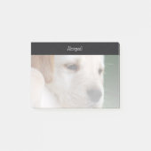 Uw foto verdwijnt automatisch geleidelijk post-it® notes (Voorkant)