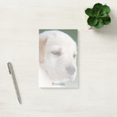 Uw foto verdwijnt automatisch geleidelijk post-it® notes (Kantoor)