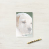 Uw foto verdwijnt automatisch geleidelijk post-it® notes (Op bureau)