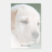 Uw foto verdwijnt automatisch geleidelijk post-it® notes (Voorkant)