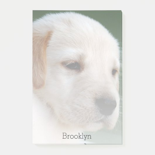 Uw foto verdwijnt automatisch geleidelijk post-it® notes (Voorkant)