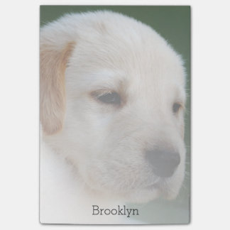 Uw foto verdwijnt automatisch geleidelijk post-it® notes