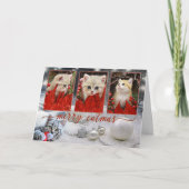 Uw fotokaartje voor kerstmis feestdagen kaart (Voorkant)