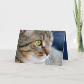 Uw fotokat condoleances sympathie Wenskaart Kaart (Voorkant)