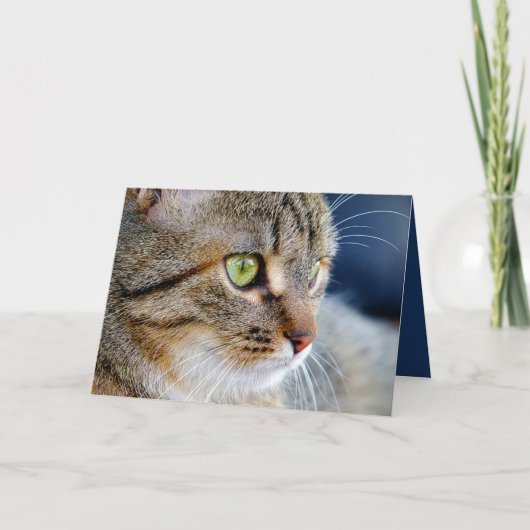 Uw fotokat condoleances sympathie Wenskaart Kaart (Voorkant)