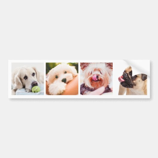 UW FOTO'S/Cute Dogs aangepaste bumpersticker (Voorkant)