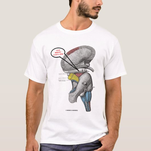 Uw geheugen begint hier (Hippocampus-Humor) T-shirt (Voorkant)