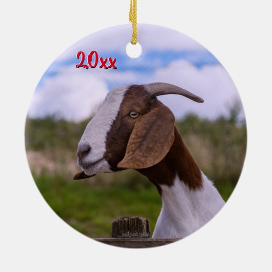 UW GEITEN FOTO met groot keramisch Ornament (Achterkant)