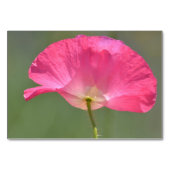 Uw gepersonaliseerde foto en namen kaart (Achterkant)