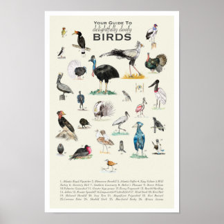 Uw gids voor donkere vogels 11x17 Poster