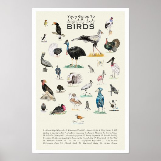 Uw gids voor donkere vogels 11x17 Poster (Voorkant)