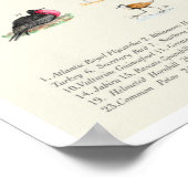 Uw gids voor donkere vogels 11x17 Poster (Hoek)