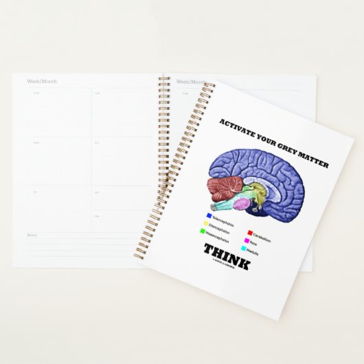 Uw grijze materie activeren Denk aan anatomisch br Planner (Display)