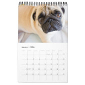 Uw hond 14 foto's Quote 2026 Kalender (Jan 2026)