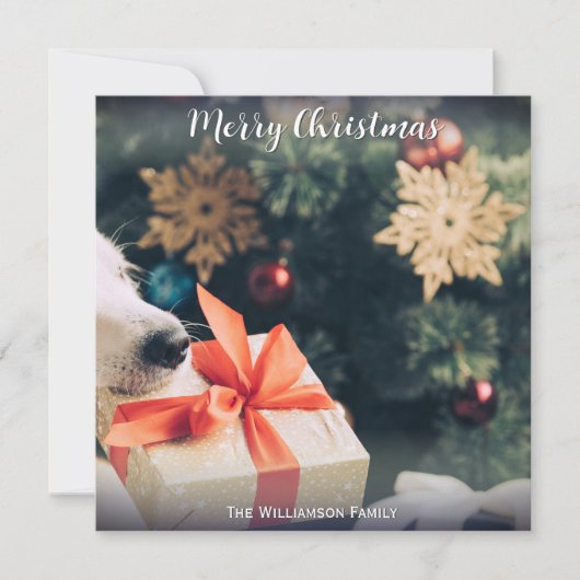 Uw hond Foto aangepaste naam Modern Merry Christma Feestdagenkaart (Voorkant)