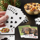 Uw hond foto bevestigen pokerkaarten (Insitu)