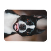 Uw hond foto | Fur Baby Cute Puppy Afbeelding uplo Magneet (Horizontaal)