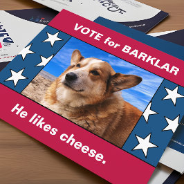 Uw hond in grappige Amerikaanse verkiezingscampagn Briefkaart