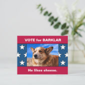 Uw hond in grappige Amerikaanse verkiezingscampagn Briefkaart (Staand voorkant)