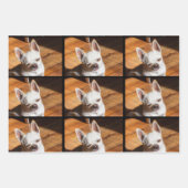 Uw hond puppy 3 aangepaste foto's chihuahua inpakpapier vel (Voorkant 3)