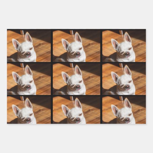 Uw hond puppy 3 aangepaste foto's chihuahua inpakpapier vel (Voorkant 3)