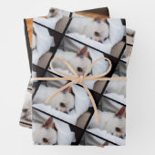 Uw hond puppy 3 aangepaste foto's chihuahua inpakpapier vel (In situ)