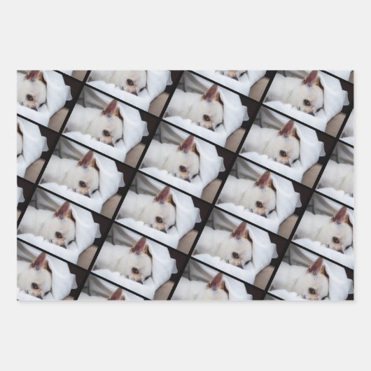 Uw hond puppy 3 aangepaste foto's chihuahua inpakpapier vel (Voorkant)