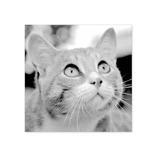 Uw huisdier etsen | Geëtst van foto | Aangepast Rubberstempel (Afrduk)