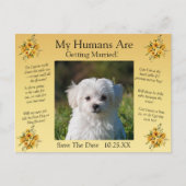 Uw huisdier foto Bewaar de datum Gouden Gele Bloem Briefkaart (Voorkant)