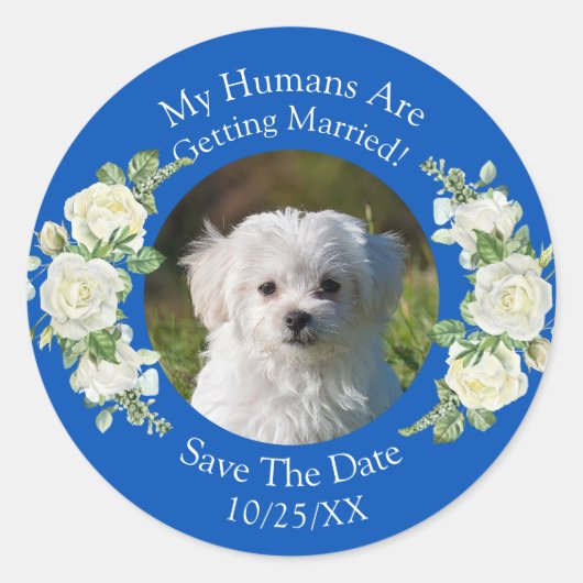 Uw huisdier foto, Bewaar de datum, kobalt blauw &  Ronde Sticker (Voorkant)