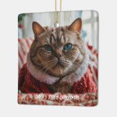 Uw huisdier foto Grappige kerst Keramisch Ornament (Links)