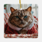 Uw huisdier foto Grappige kerst Keramisch Ornament (Voorkant)