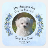 Uw huisdier Foto Mensen Trouwen, Blauwe pioen Vierkante Sticker (Voorkant)