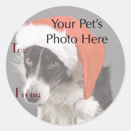 Uw huisdier foto op Kerstmis Naam Tags Ronde Sticker