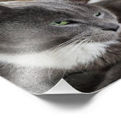 Uw huisdier Foto Vergroting Foto Afdruk (Hoek)