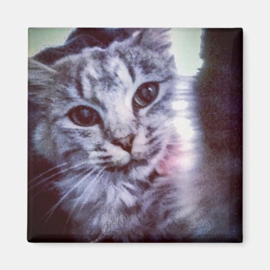 Uw huisdier gepersonaliseerde magneet (Voorkant)