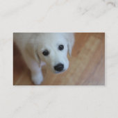 Uw huisdier gerelateerde Visitekaartje (Achterkant)