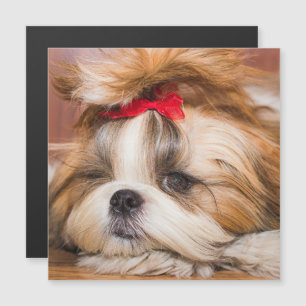 Uw huisdier hond puppy foto cadeau magnetische kaa