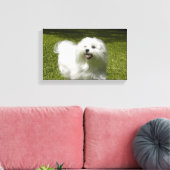Uw huisdier op een stretched canvas print (Insitu (Woonkamer))