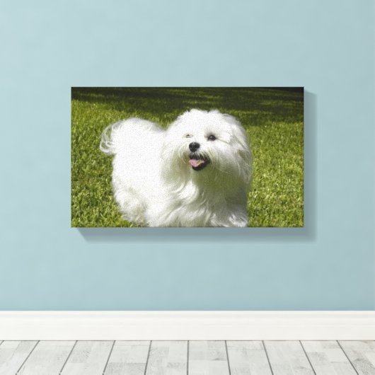 Uw huisdier op een stretched canvas print (Insitu (Houten vloer))