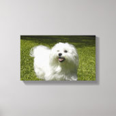 Uw huisdier op een stretched canvas print (Voorkant)