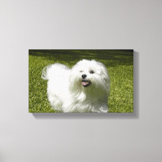Uw huisdier op een stretched canvas print (Voorkant)