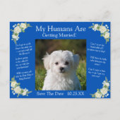 Uw huisdierenfoto Bewaar de datum Cobalt Blue & Wh Briefkaart (Voorkant)